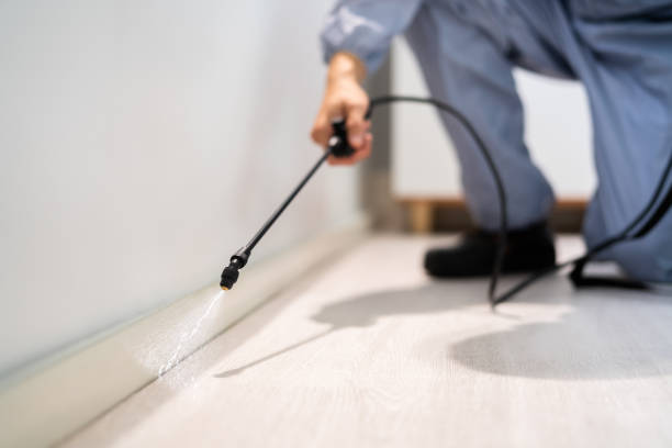 Licensed Rodent Control service in Adair Village, OR - Nex Pest Control