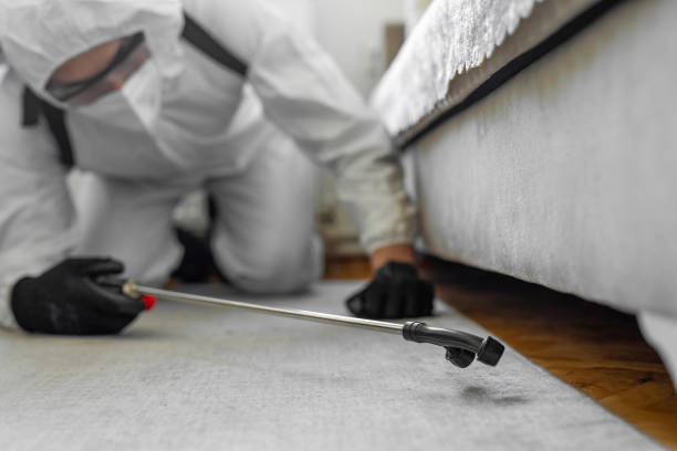 Professional Rodent Control technician working in Adair Village, OR