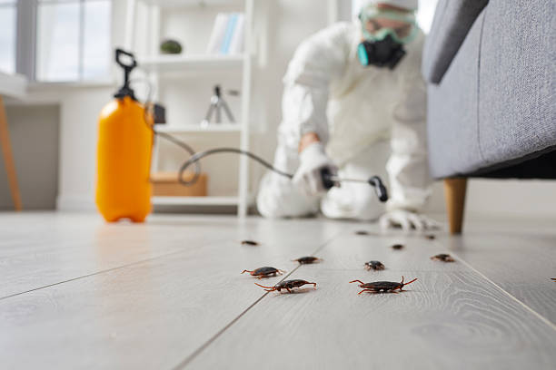 Trusted Fumigation Services service in Adair Village, OR - Nex Pest Control